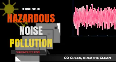 Noise Pollution: When Does It Become Hazardous?