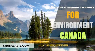 Understanding Environment Canada: Which Government Level Holds Responsibility?