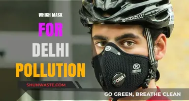 Delhi Pollution: Choosing the Right Mask