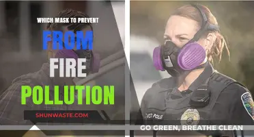 Protecting Yourself: Masks for Fire Pollution