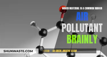 Air Pollutants: Common Indoor Toxins and Their Sources