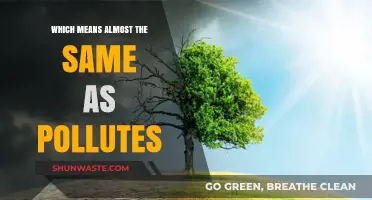 Harmful Impacts: Actions That Poison Our Environment