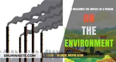 Measuring Your Eco-Footprint: Understanding Personal Environmental Impact