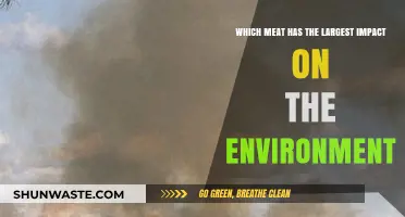 Beef's Environmental Footprint: The Meat with the Largest Impact