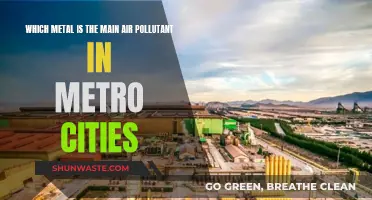 Air Pollution: Metal Culprits in Metro Cities