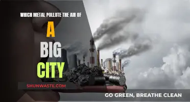 Air Pollution: Metal Culprits in Our Cities