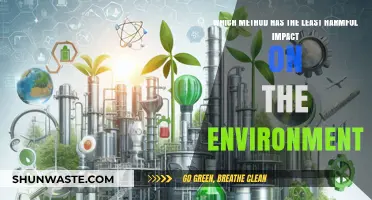 Eco-Friendly Choices: The Least Harmful Method for a Greener Planet