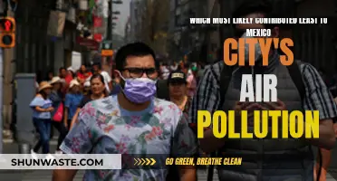 Mexico City's Air: What's the Cleanest Source?