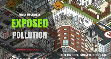 Muckrakers: Pollution Exposé and the Power of Journalism