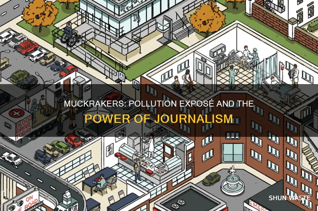 which muckraker exposed pollution