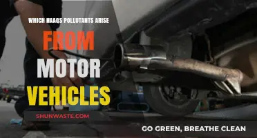 Motor Vehicles: Major Sources of NAAQS Pollutants