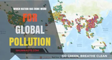 Pollution's Worst Offenders: Nations Ranked by Environmental Damage