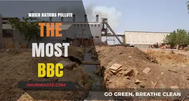 Who Pollutes the Most? A Global Perspective