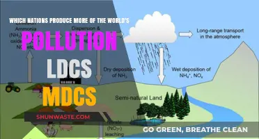 Who Pollutes the World and Why?