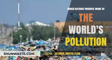 Who Pollutes the World?
