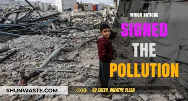 The Pollution Pact: Nations United for Change