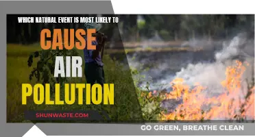 Natural Disasters: The Unseen Air Pollution Culprits