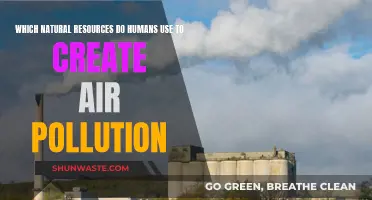 Human-Caused Air Pollution: Natural Resources at Fault
