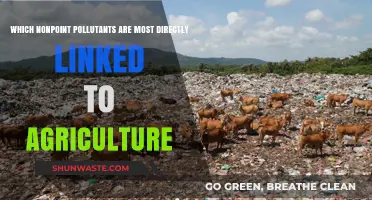 Agricultural Pollution: Nonpoint Sources and Their Impacts