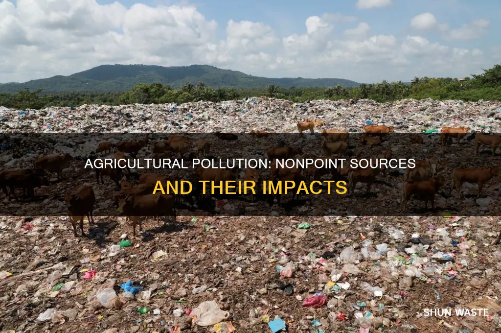 which nonpoint pollutants are most directly linked to agriculture