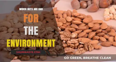 Eco-Unfriendly Nuts: Environmental Impact of Almonds, Cashews, and More