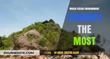 Dynamic Depths: Exploring the Most Volatile Ocean Ecosystems on Earth