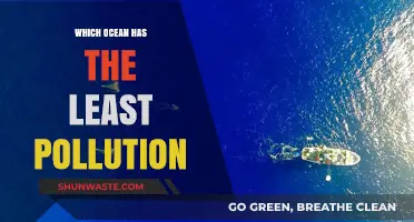 The Cleanest Ocean: Where Pollution is Minimal