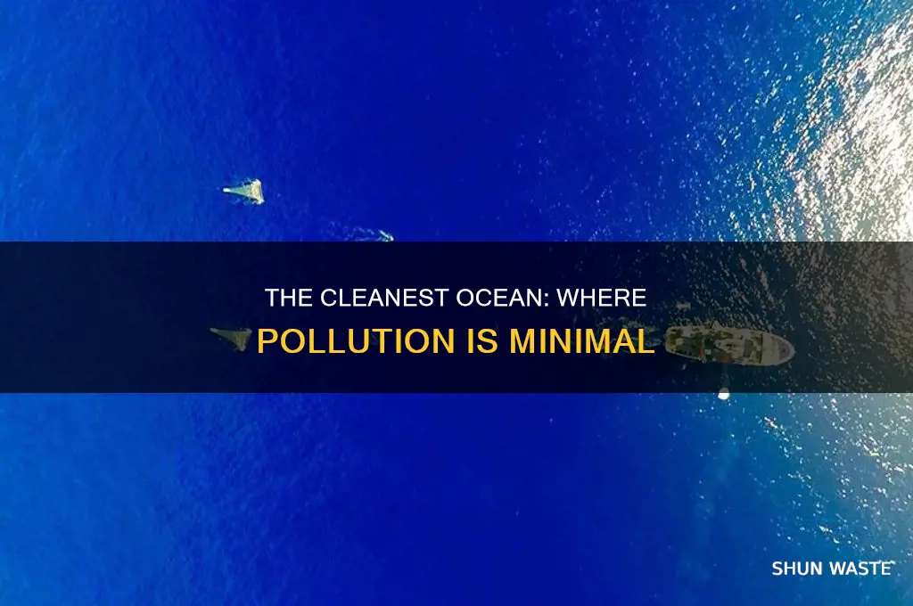 which ocean has the least pollution