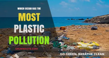 Plastic Pollution Crisis: Oceans in Danger