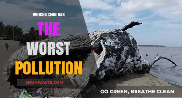 Ocean Pollution: Which Ocean is the Worst Affected?