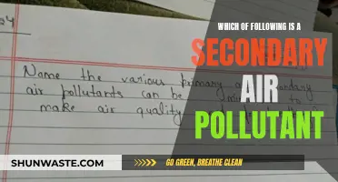 Secondary Air Pollutants: What Are They?