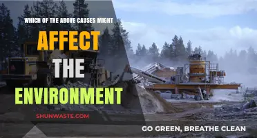 Environmental Impact: Key Causes and Their Effects on Our Planet