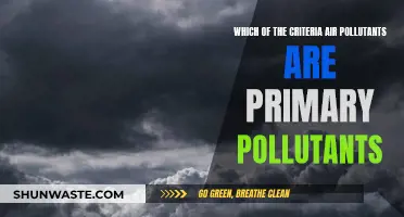 Air Pollutants: Primary Pollutants and Their Criteria