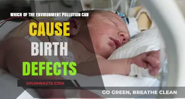 Unveiling the Hidden Dangers: Environmental Pollutants and Their Impact on Birth Defects