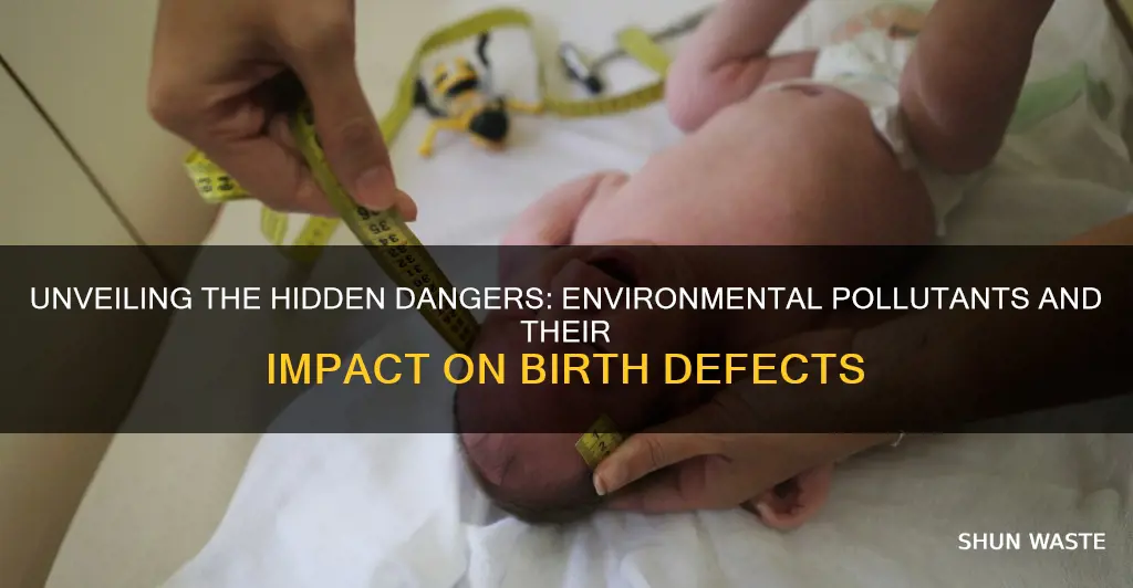 which of the environment pollution can cause birth defects