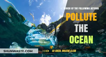 Human Actions, Ocean Pollution
