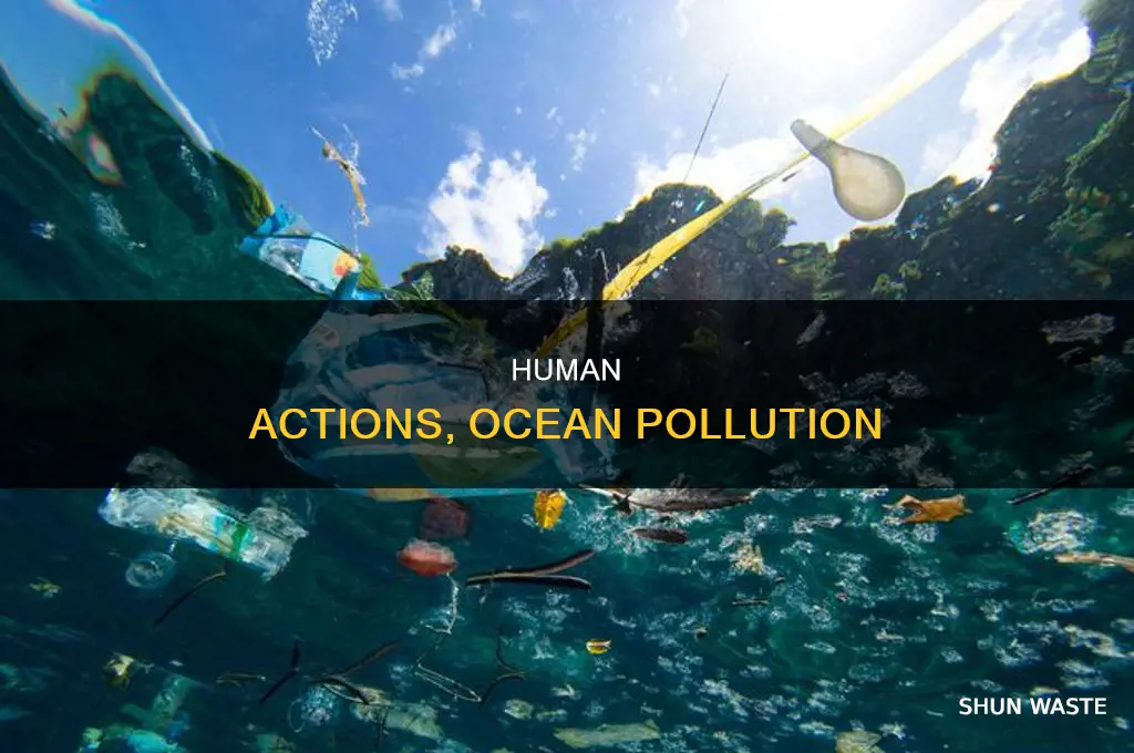 which of the following actions pollute the ocean