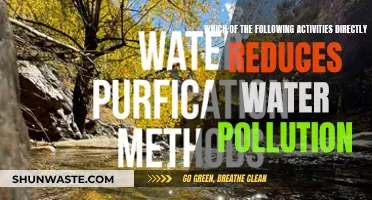 Simple Activities to Reduce Water Pollution