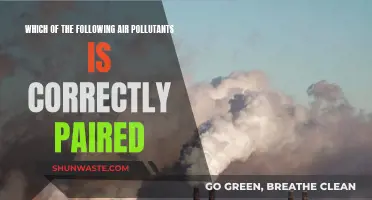 Air Pollutants: Correctly Identifying Pairs