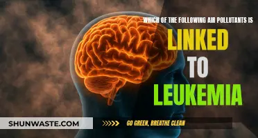 Air Pollutants: The Link to Leukemia