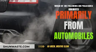 Air Pollutants: Cars' Harmful Emissions