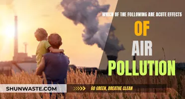 Air Pollution's Acute Effects: Understanding the Immediate Dangers
