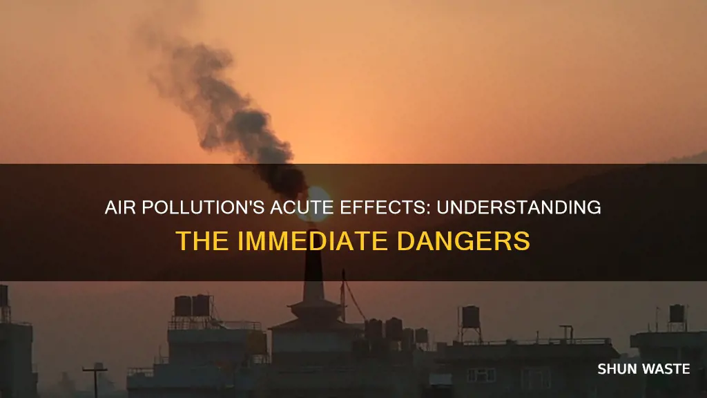 which of the following are acute effects of air pollution