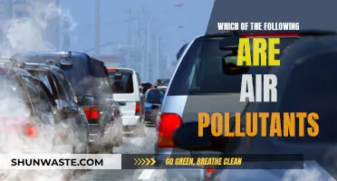 Air Pollutants: Understanding the Toxic Cocktail