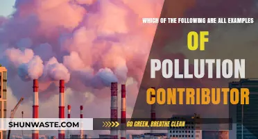 Human Activities Causing Pollution