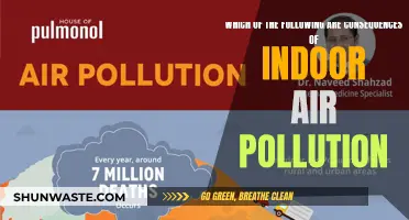 Air Pollution's Impact: The Unseen Dangers in Your Home