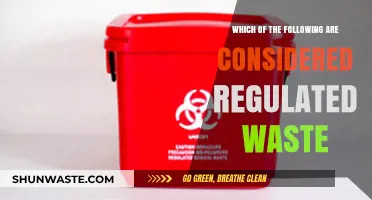 Understanding Regulated Waste: Identifying Hazardous Materials and Disposal Rules