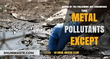 Are These Metals Pollutants? Understanding Toxicity Exceptions