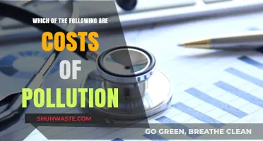 Pollution's Price: Harming Our Health, Economy, and Environment