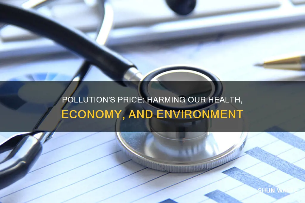 which of the following are costs of pollution